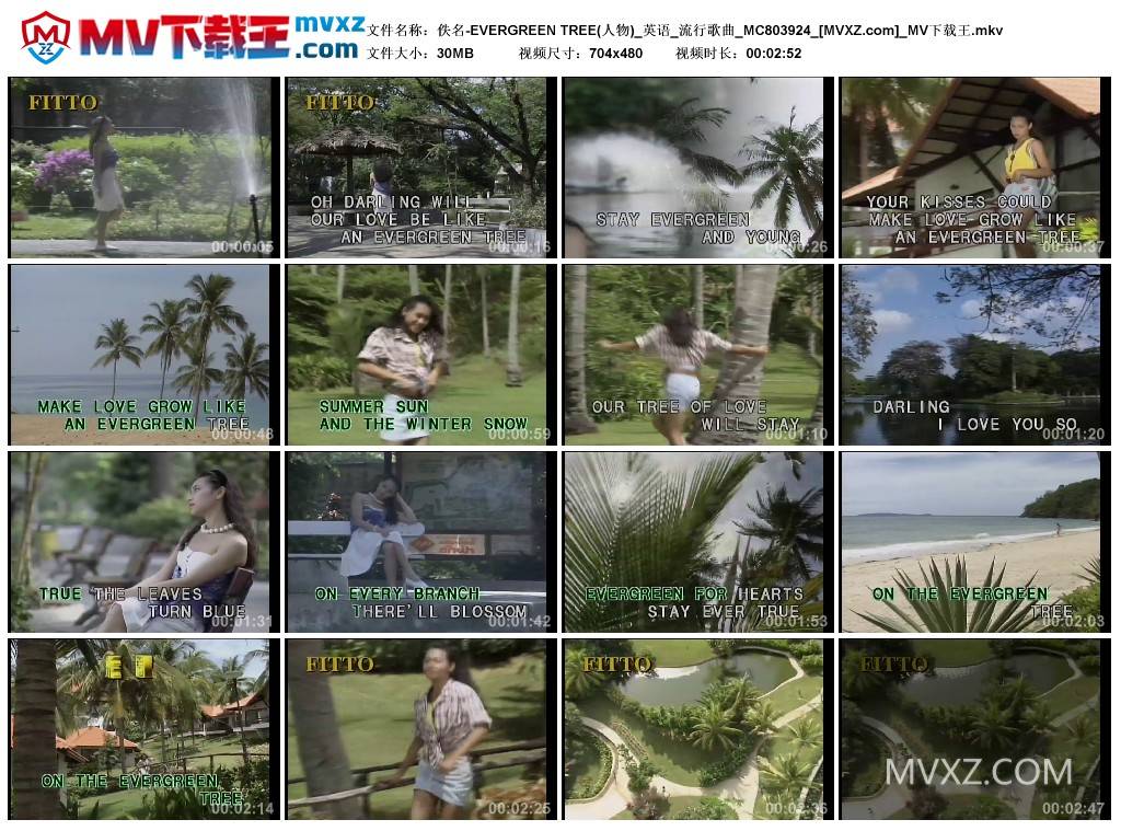 佚名-EVERGREEN TREE(人物)_英语_流行歌曲_MC803924